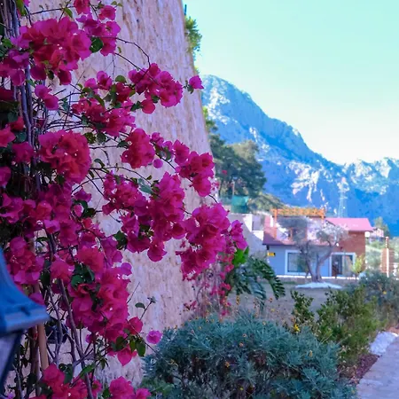 Villa Taskoey Antalya *